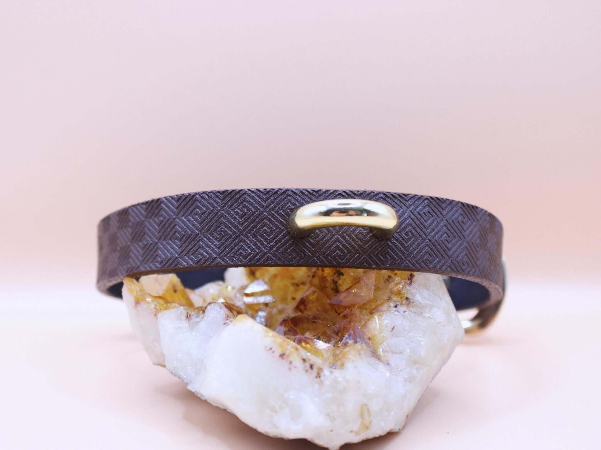 BDSM Collar Elegant Minimalist Gold Accent for Submissive Bondage-3